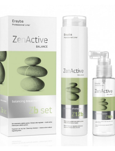 ERAYBA Zenactive ZB Set Cheveux Gras 250 ml + 100 ml