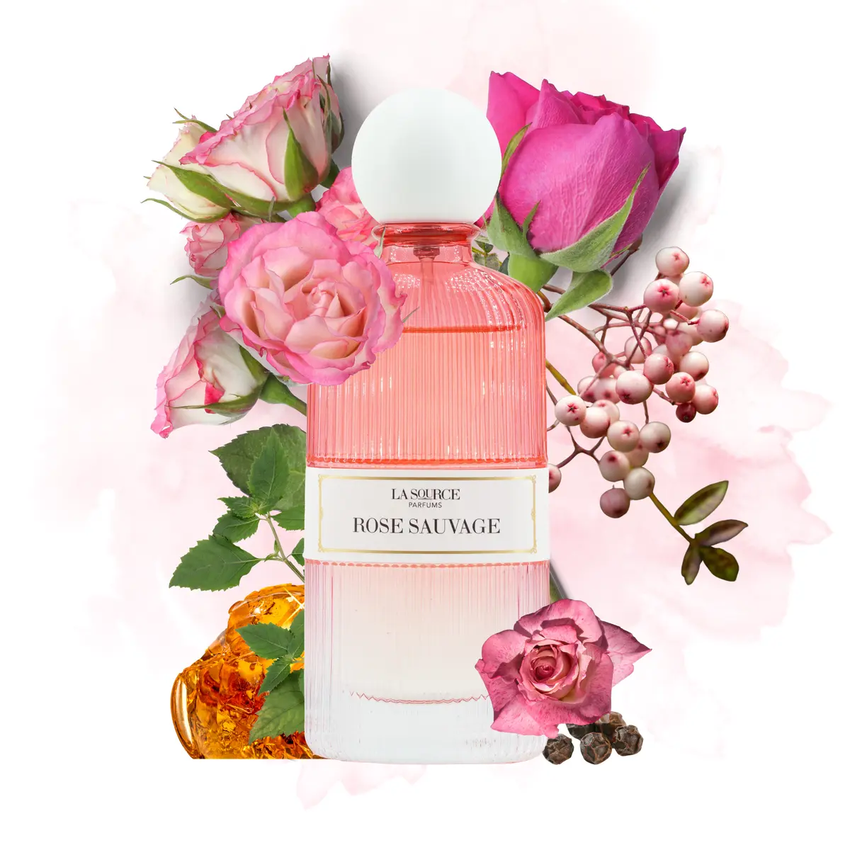 Onivo Cosmetics La Source Parfums Rose Sauvage Eau de Parfum 60 ml